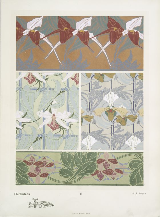 Orchidées - NYPL Digital Collections