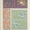 Orchidées