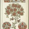 Decorative designs