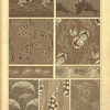 Nine textile designs