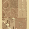 Six textile designs