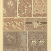 Seven textile designs