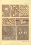 Seven textile designs