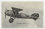 Albatros scout. D. 5.