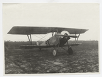 French Nieuport 80.