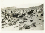 Transcontinental telephone line of the A.T. & T. Co. : hauling eleven 4x4 8x8-18' redwood poles near stake no. 585, 3 miles east of Golconda, Nev. Tremendous difficulties in hauling caused by mountainous nature of country. There are no roads and the gangs have to make their own roads. 4-13-14.