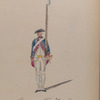 Regiment Prins Hessen Darmstadt, Reg. No. 14.  1784