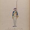 Infanterie Regiment Douglas,  Reg. No. 19. 1784