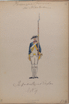 Infanterie Regiment Douglas,  Reg. No. 19. 1784