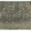 President Roosevelt in Yosemite National Park, 1904.