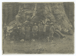 President Roosevelt in Yosemite National Park, 1904.