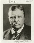 Roosevelt the Politician.