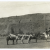 View showing the only means of transporting materials to the high mountain ranges on the Wallowa National Forest, Oregon.