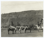 View showing the only means of transporting materials to the high mountain ranges on the Wallowa National Forest, Oregon.