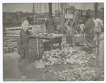 Weighing up the catch, Gloucester, Mass.