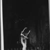 Swan Lake