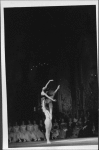 Swan Lake