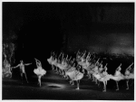 Swan lake