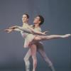 Suite Saint-Saens