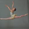 Suite Saint-Saens