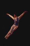 Tchaikovsky pas de deux