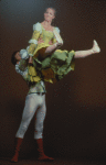 The taming of the shrew