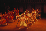 The taming of the shrew