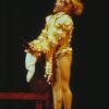 The taming of the shrew