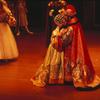 The taming of the shrew