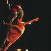 Transfigured night