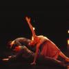 Transfigured night
