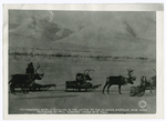 The Christmas myth is fulfilled to the letter by the Alaskan postman who uses reindeer to pull sledges laden with mail.