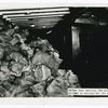 Harbor boat service, New York. Mai[l] stacked to ceiling for 135 ft. on []