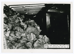 Harbor boat service, New York. Mai[l] stacked to ceiling for 135 ft. on []