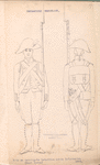 Bataafsche Republiek. Drie en twintigste bataillon Linie Infanterie. (Oost Indie). 1804