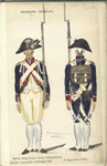 Bataafsche Republiek. Vyfde Bataillon Linie Infanterie (Later bepaalde verandering). 9 Augustus 1804