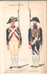 Bataafsche Republiek. Vyfde Bataillon Linie Infanterie (Later bepaalde verandering). 9 Augustus 1804