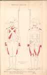 Bataafsche Republiek. Twee en twinyigste Bataillon Linie Infanterie (Kaap de Goede Hoop)  1804