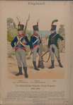 England. Die Hollaendische Brigade (Dutch Brigade). 1799-1802. Fuesilier vom 1. Infanterie-Regiment, Flankeur vom 2. Infanterie-Regiment, Jaeger