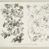 Flowers from nature ornamentally arranged.
