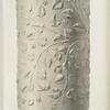 Part of an ancient column. From the Museum of the Vatican.