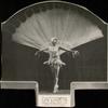 Gertrude Hoffmann in the White Peacock