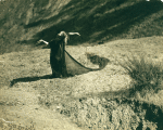 Ruth St. Denis in Miriam, Sister of Moses, a biblical drama written by Constance Smedley and Maxwell Armfield and given at the Greek Theatre, University of California, Berkeley.