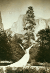 Ruth St. Denis at Yosemite Valley.