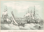 View of the New-York Quarantine, Staten Island