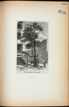 The Stuyvesant pear-tree.