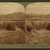 From Red to San Francisco Mountains, a woody wilderness in sun-kissed Arizona