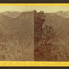Scene E. of the Verde River, near Stoneman's Lake