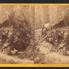 Big tree, felled in Frezno [sic] Grove, (78 ft. circum.) Frezno [sic] Co..