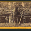 Cutting off section of big tree, (78 ft. circum.) Frezno [sic]Co.